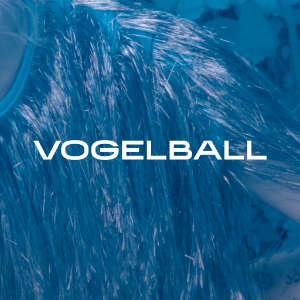 Vogelball Logo